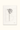 Botanical Peony Print, by Fable
